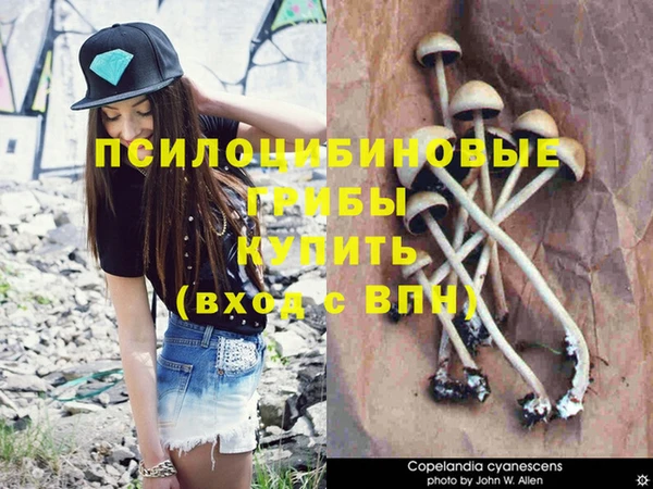 прущий лед Лиски