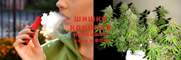 трава Лабытнанги